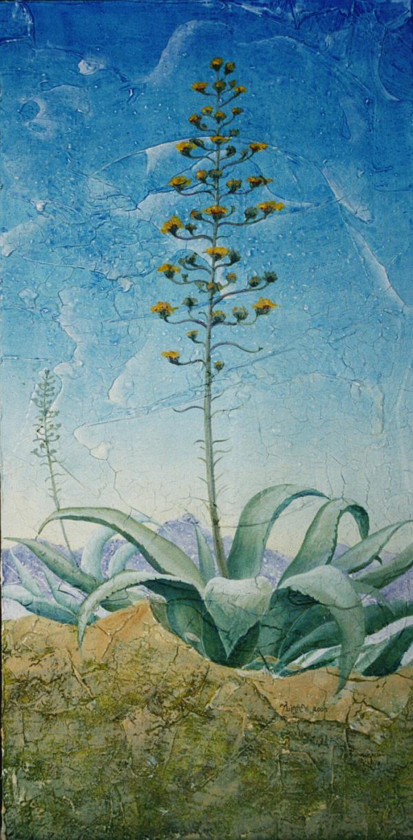 Agave